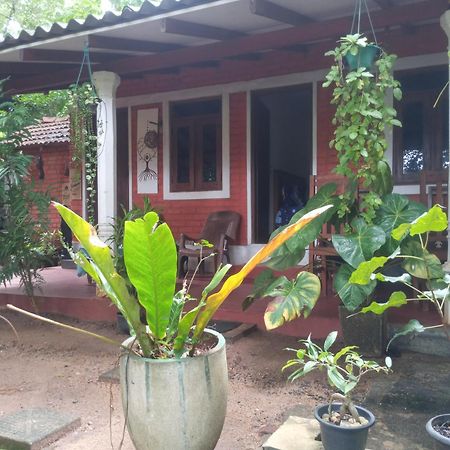 Angry Birds Homestay Habarana Δωμάτιο φωτογραφία